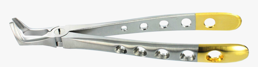 Ceiling, HD Png Download