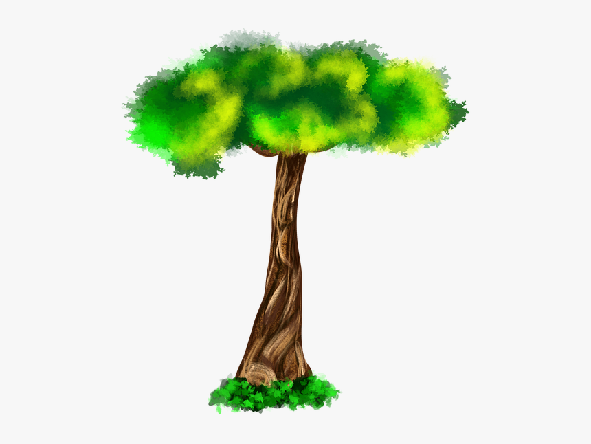 Tree, Digital, Art, Tree Green, Green, Trees, Nature - Sabal Palmetto, HD Png Download