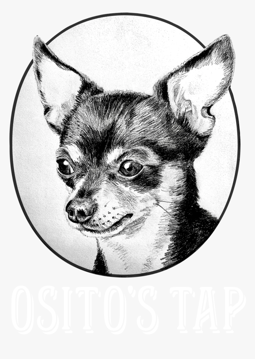 Osito S Helenium, HD Png Download