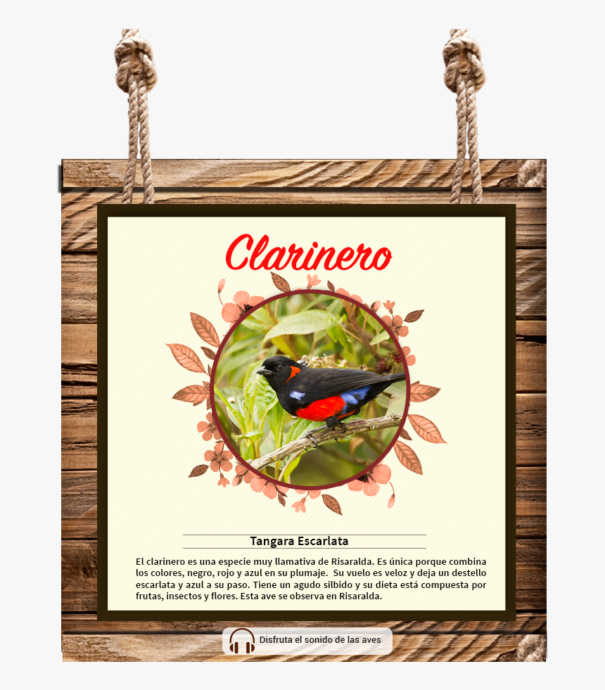 Your Browser Does Not Support The Audio Tag - Picture Frame, HD Png Download