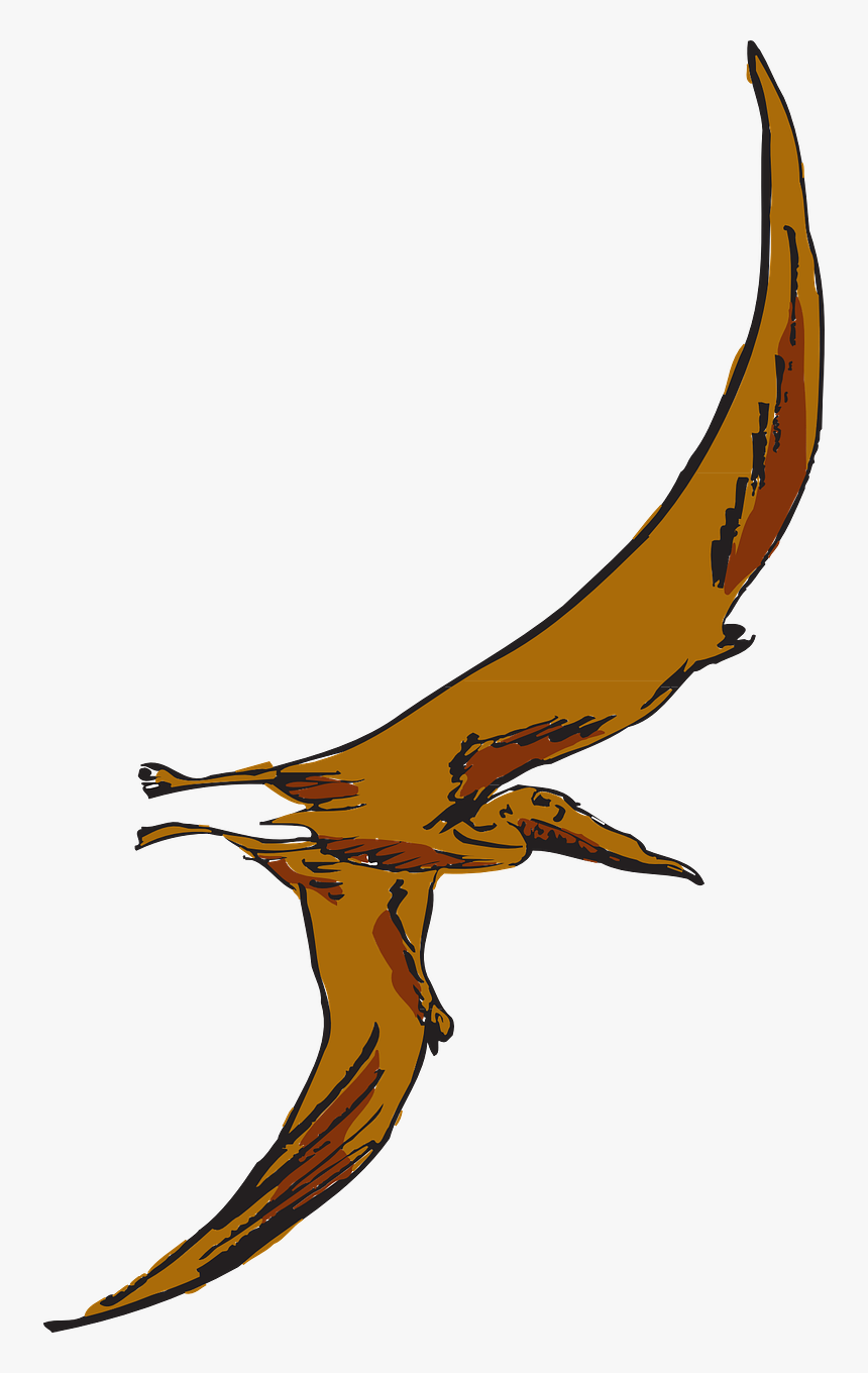 Pterodactyl Clipart Transparent - Brown Pterodactyl, HD Png Download
