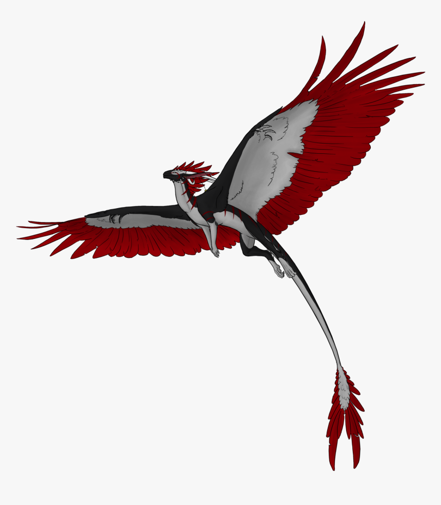 Flying Dragon Png Hd - Flying Dragon Png Transparent, Png Download