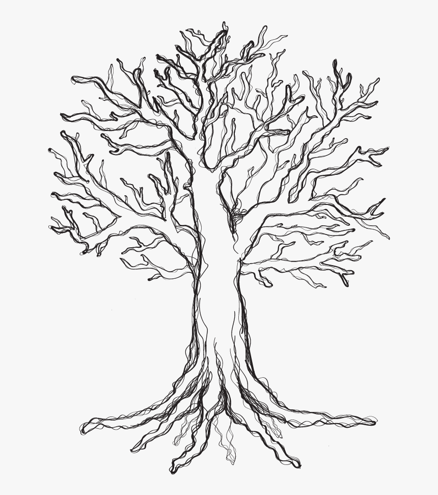 Sketch, HD Png Download