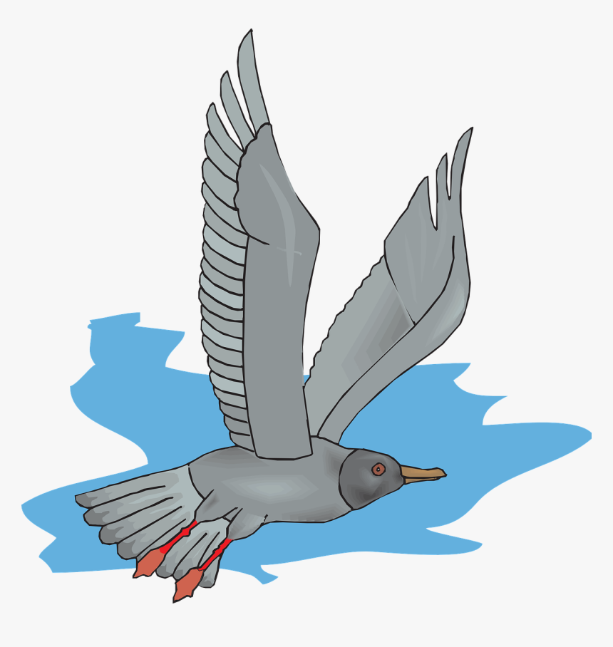 Gray Seagull Icon Png, Transparent Png