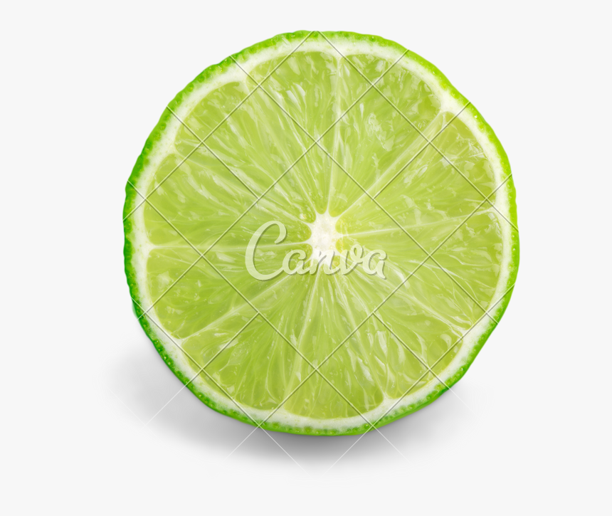 Transparent Lemon Slices Clipart - Persian Lime, HD Png Download
