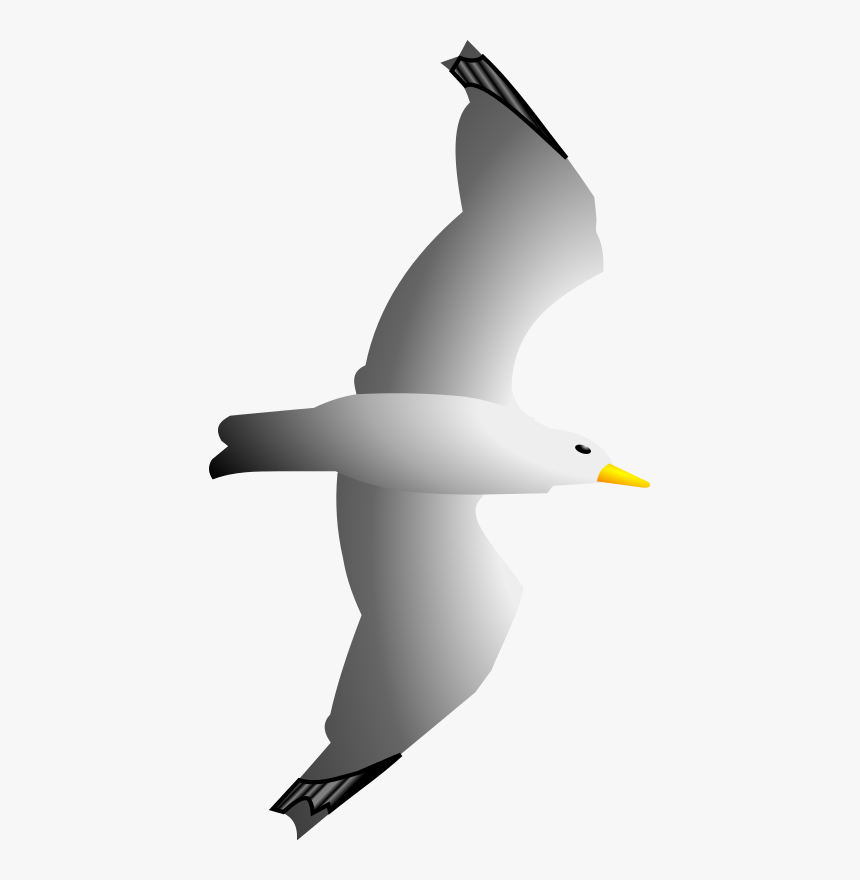 Seagull Clipart Clip Art Library - Clipart Sea Gull Png, Transparent Png