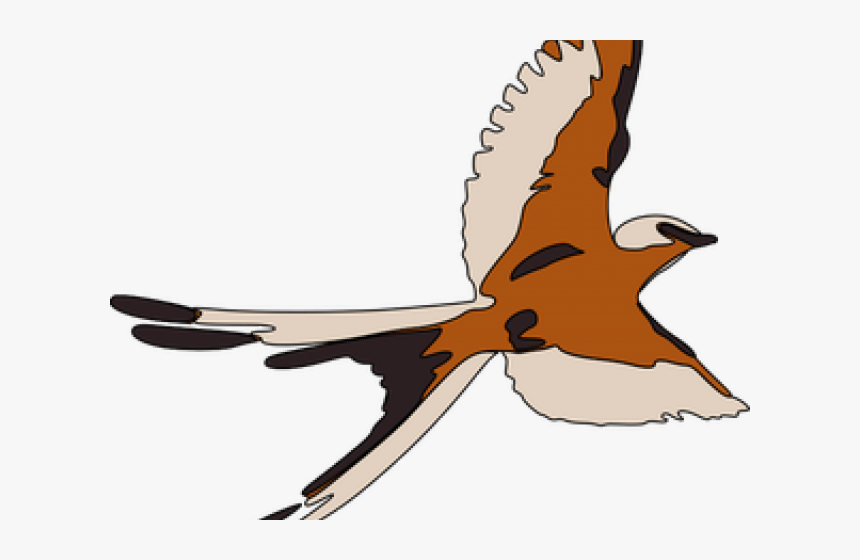 Seagull Clipart 3 Bird, HD Png Download