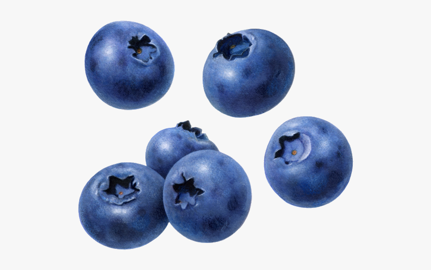 Blueberries Png - Blue Berry No Background, Transparent Png
