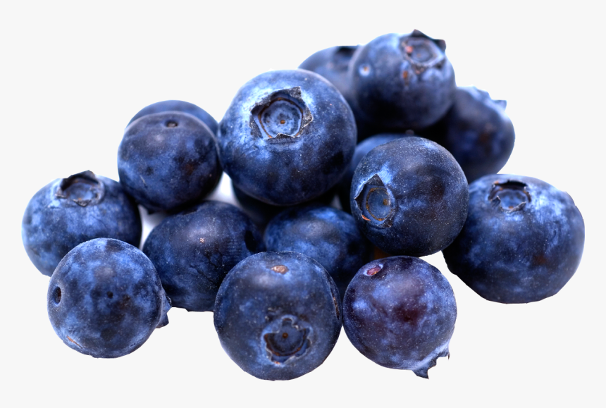 Blueberries Clipart Popsicle - Blueberries Clipart, HD Png Download