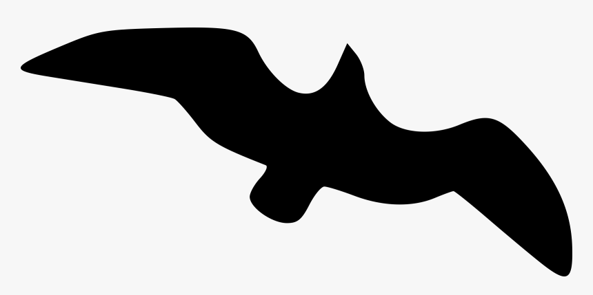Photography - Cartoon Black Seagull, HD Png Download