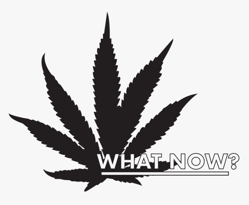 Transparent Weed Leaf Png - Marijuana Leaf Clipart, Png Download