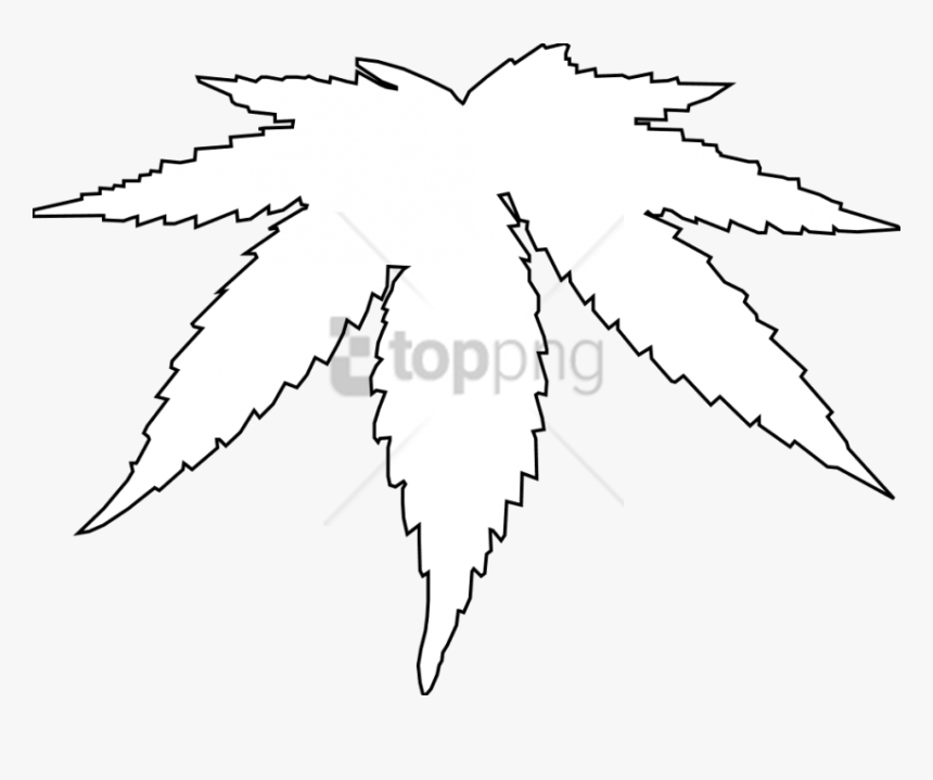 Real Weed Leaf Png - Black And White Cannabis Leaf, Transparent Png