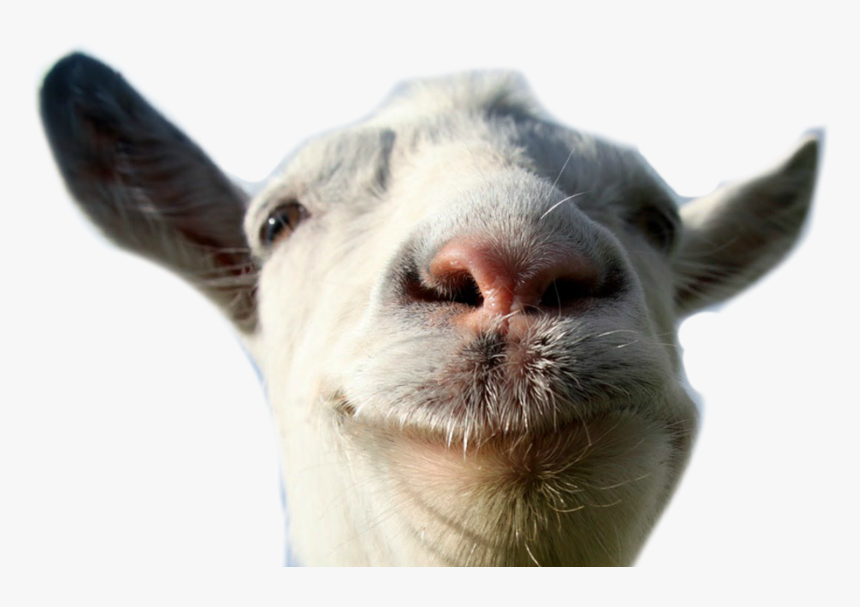 Transparent Goat Silhouette Png - Goat Simulator Goat Png, Png Download