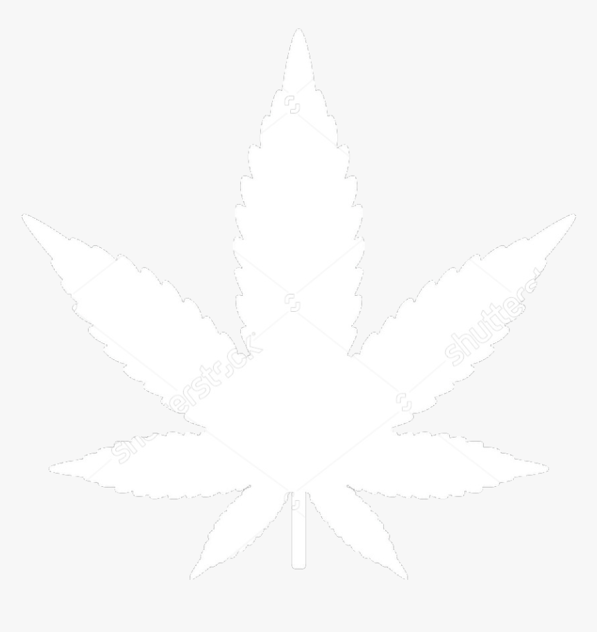 A Neurobiologist Says Medical Marijuana Could Solve - Toronto Marijuana Leafs, HD Png Download