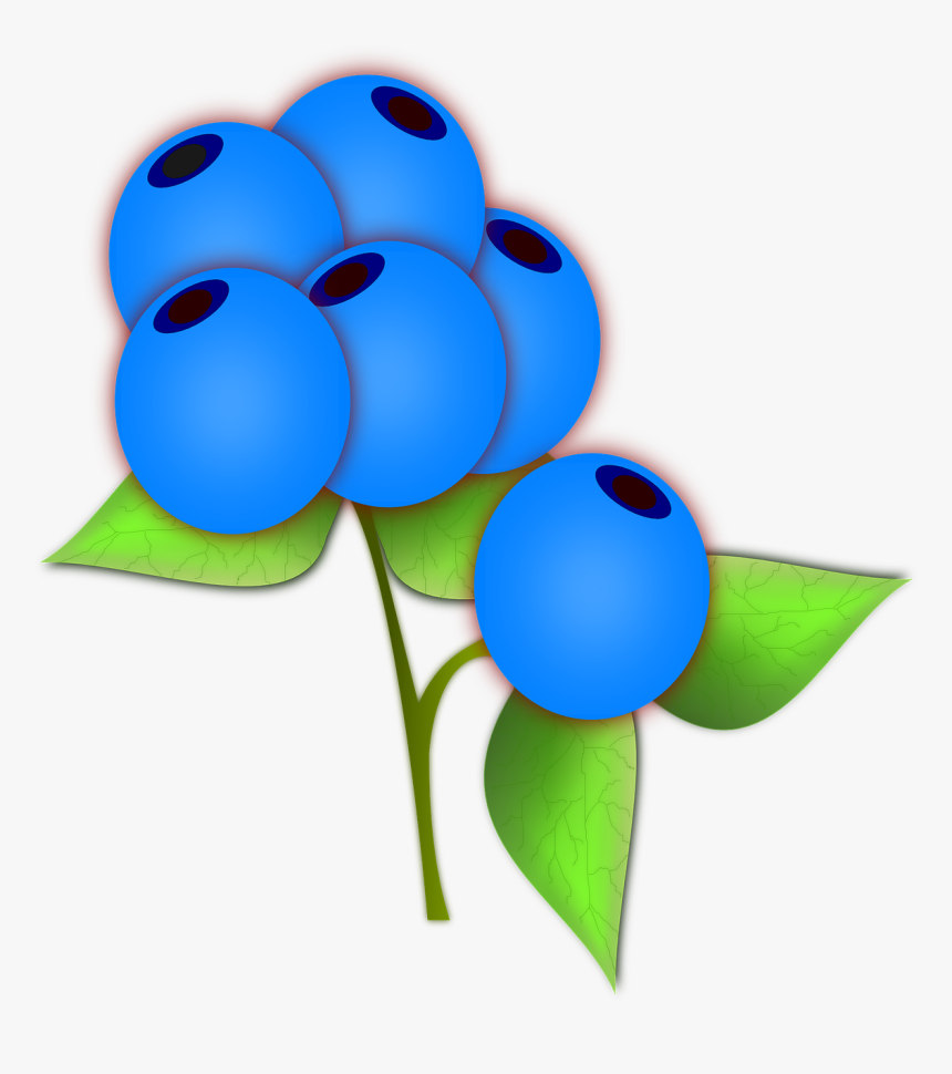 6 Blueberries Clip Art - Blueberry, HD Png Download