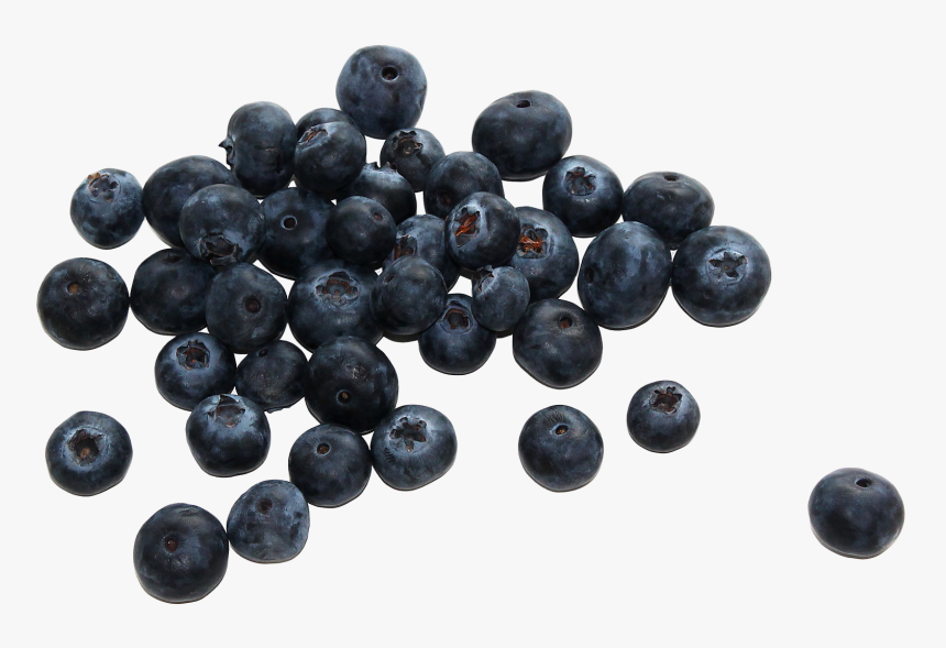 Download Blueberry Png Transparent - Blueberries Png, Png Download