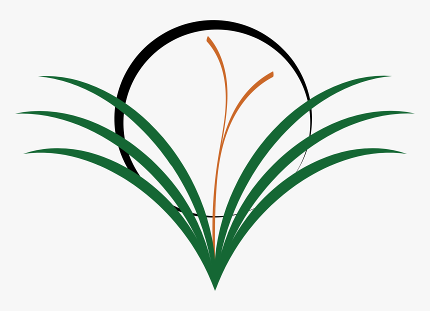 Plant,flora,leaf - Weedsclipart, HD Png Download