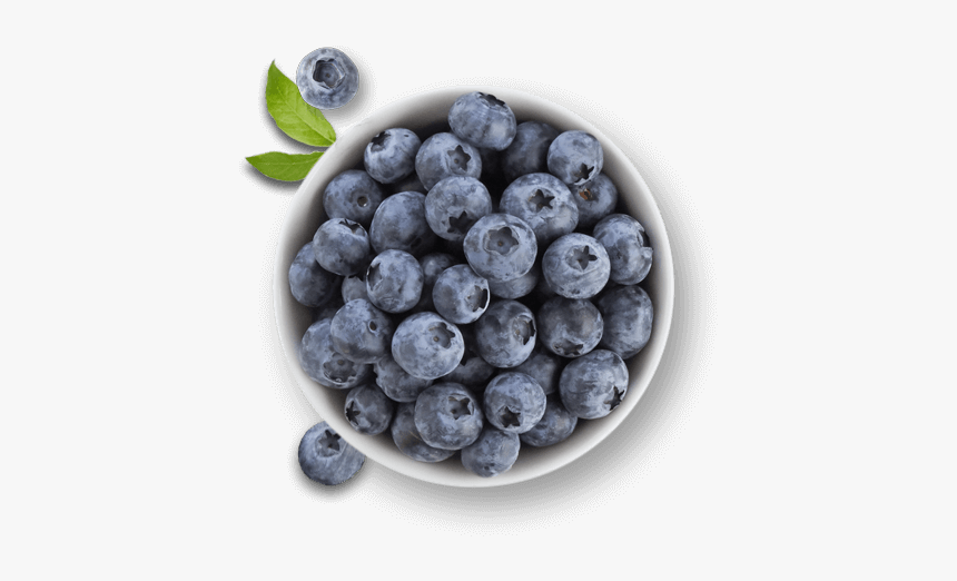 Clip Art Blueberries Mold - Lulu Hypermarket, HD Png Download