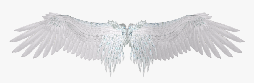 White Wings Png Free Download - Black Angle Wing Transparent Background, Png Download