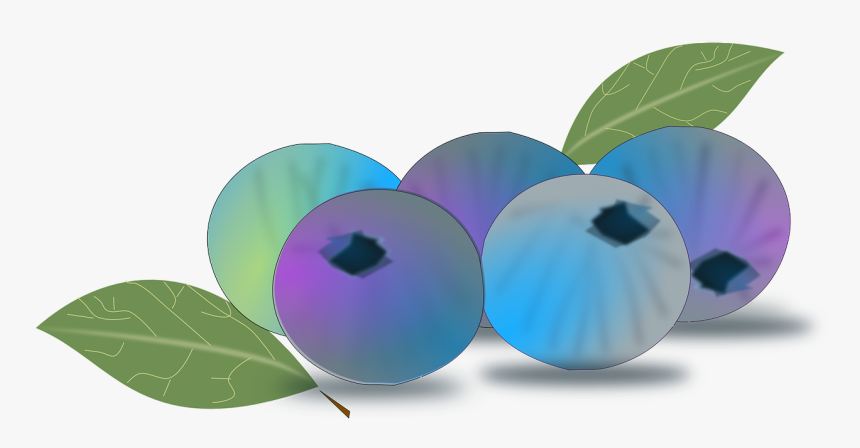 Blueberry - Animasi Blueberry, HD Png Download