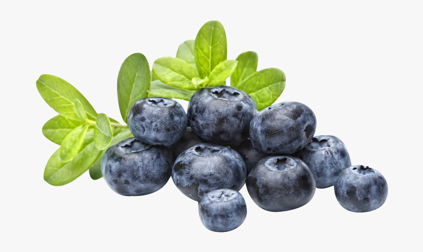 Blueberry Popping Boba, HD Png Download