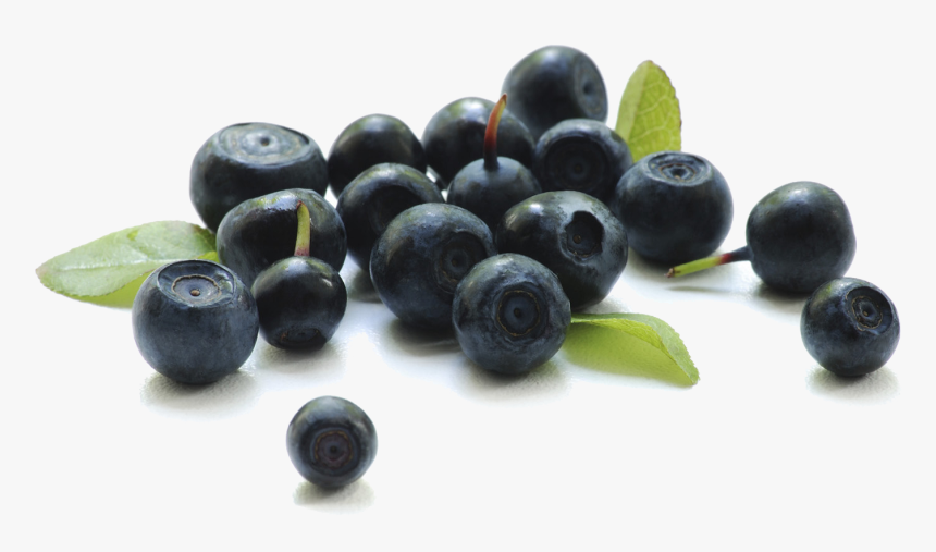 Blueberry Transparent Background - Acai Berries, HD Png Download