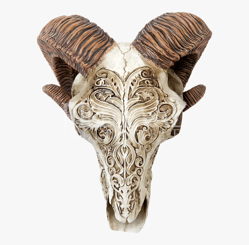 Goats - Skull Scrimshaw, HD Png Download
