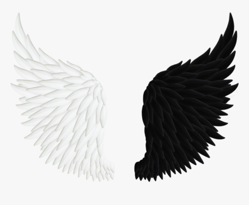 Black And White Wings Wallpaper