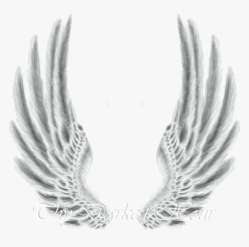 White Wings Png - Metal Wings Png Hd, Transparent Png