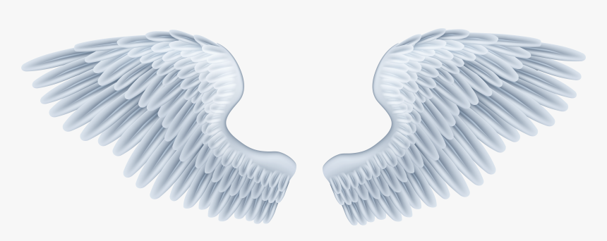 Baby Angel Wings Png, Transparent Png