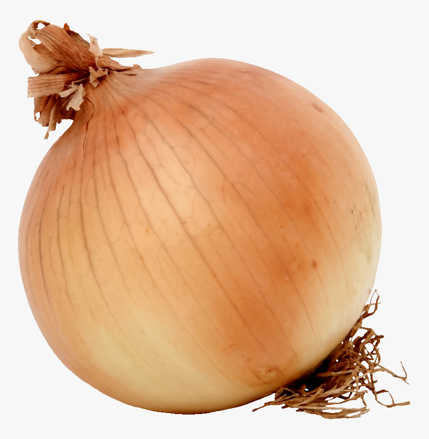 Onion,food,winter Squash - Onion Clipart, HD Png Download