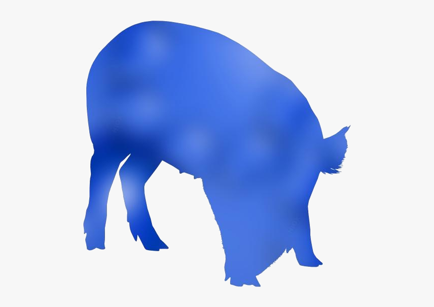 Domestic Pig Png Transparent Clipart For Download - Pig, Png Download