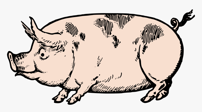 Cute Vintage Pig Clip Art & Stock Vector Oh So Nifty - Vintage Pig Clip Art, HD Png Download