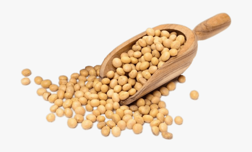 Chickpea - Soya Seeds, HD Png Download
