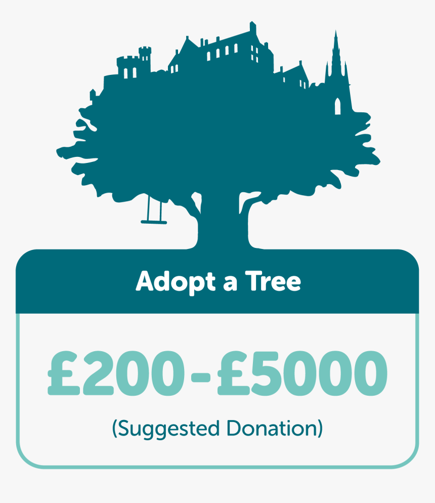 Tree Time, HD Png Download