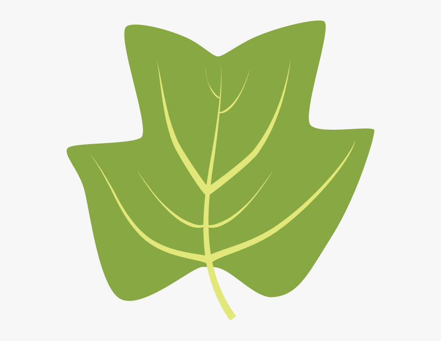 Tulip Tree Leaf Clipart, HD Png Download