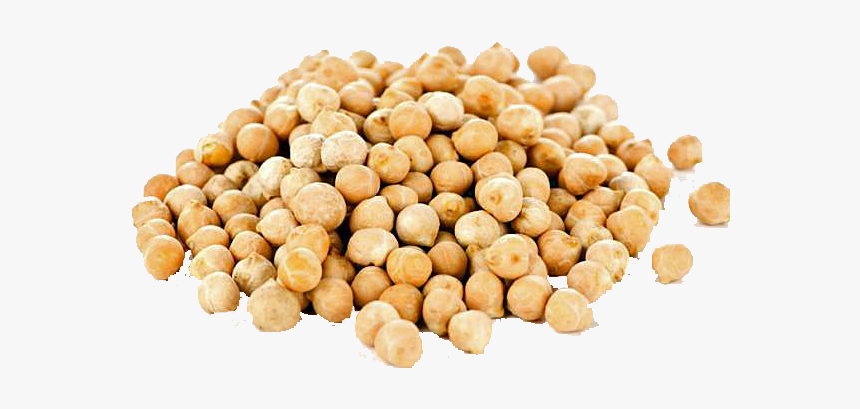 Chick Pea Scientific Name, HD Png Download