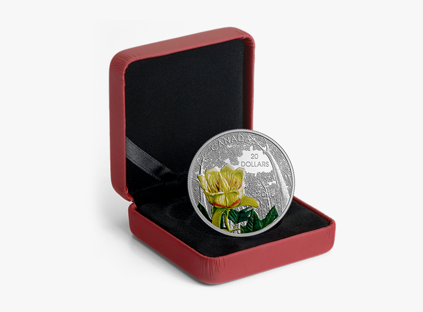 2015 1 Oz $20 Fine Silver Coin - Cn Rail 100th Anniversary Royal Canadian Cn 25 Cent, HD Png Download