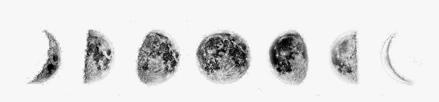 Moon Cycle Transparent Background, HD Png Download