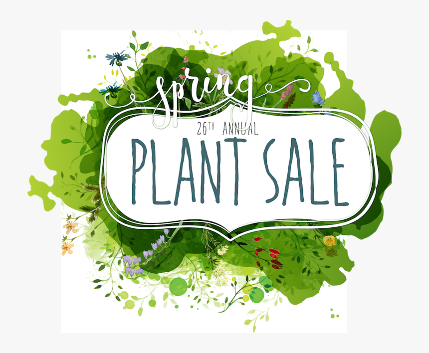 Sale Members Turtle Bay - Plant Sale, HD Png Download