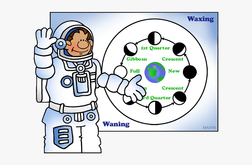 Phases Of The Moon Clipart, HD Png Download