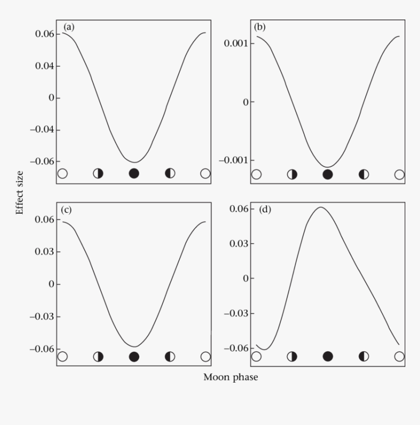 Diagram, HD Png Download