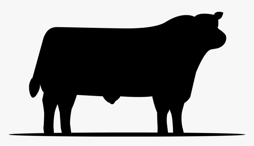 Cattle, HD Png Download