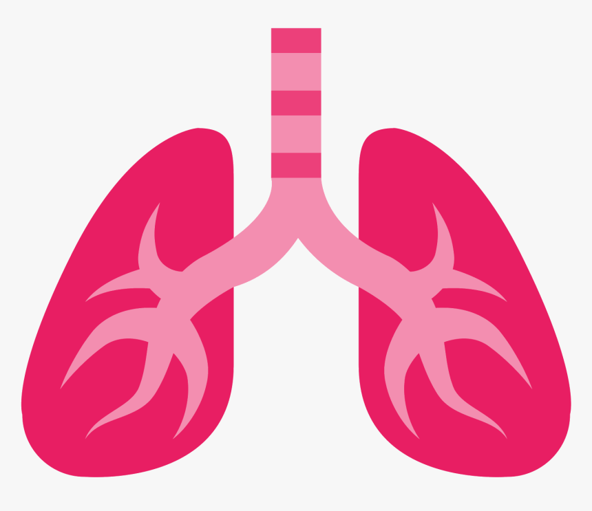 Lung Png - Lungs Emoji Png, Transparent Png