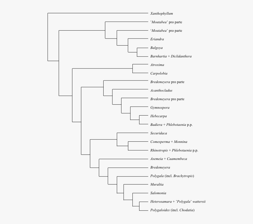 Number, HD Png Download