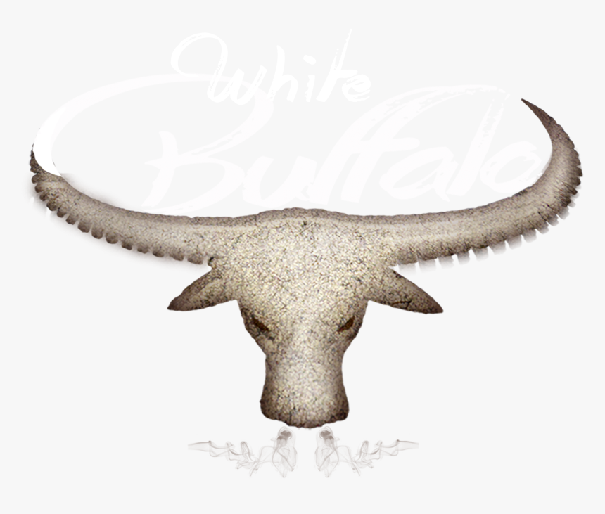 Water Buffalo Png - Water Buffalo, Transparent Png