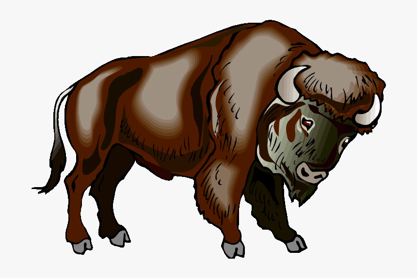 Buffalo Clipart Water Buffalo The Buffalo Clip Art - Clipart Bison, HD Png Download