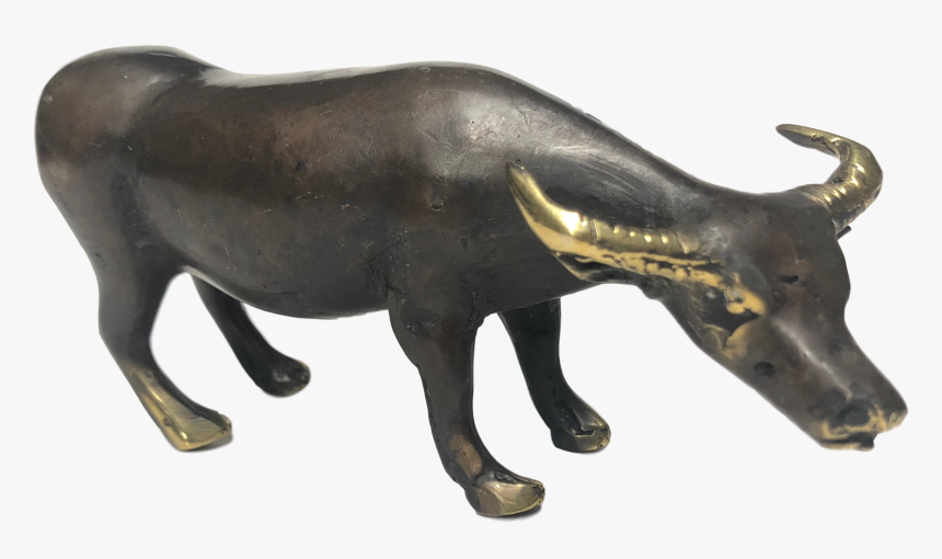 Water Buffalo, HD Png Download