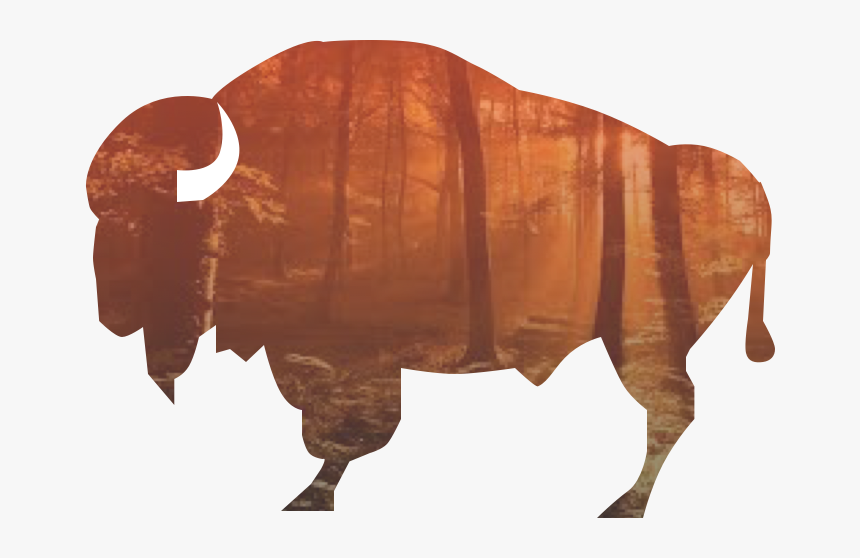 Vector File Download - Bison Png, Transparent Png