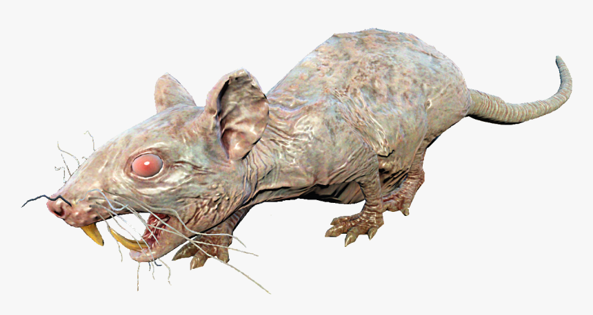 Fo4nw Rad-rat - Fallout Rat, HD Png Download